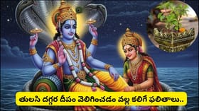 దేవశయని ఏకాదశి ఎప్పుడు..? ఈ రోజు తులసి పూజ ఎందుకు అత్యంత విశేషం?