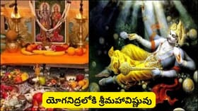 దేవశయని ఏకాదశి.. ఈ 5 వస్తువులు దానం చేస్తే అదృష్టం, ఐశ్వర్యం..