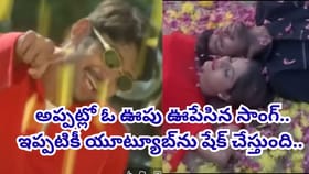 అప్పట్లో ఓ ఊపు ఊపేసిన పాట..