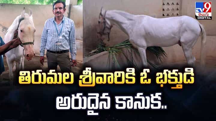 తిరుమల శ్రీవారికి ఓ భక్తుడి అరుదైన కానుక తిరుమల శ్రీవారికి ఓ భక్తుడి అరుదైన కానుక