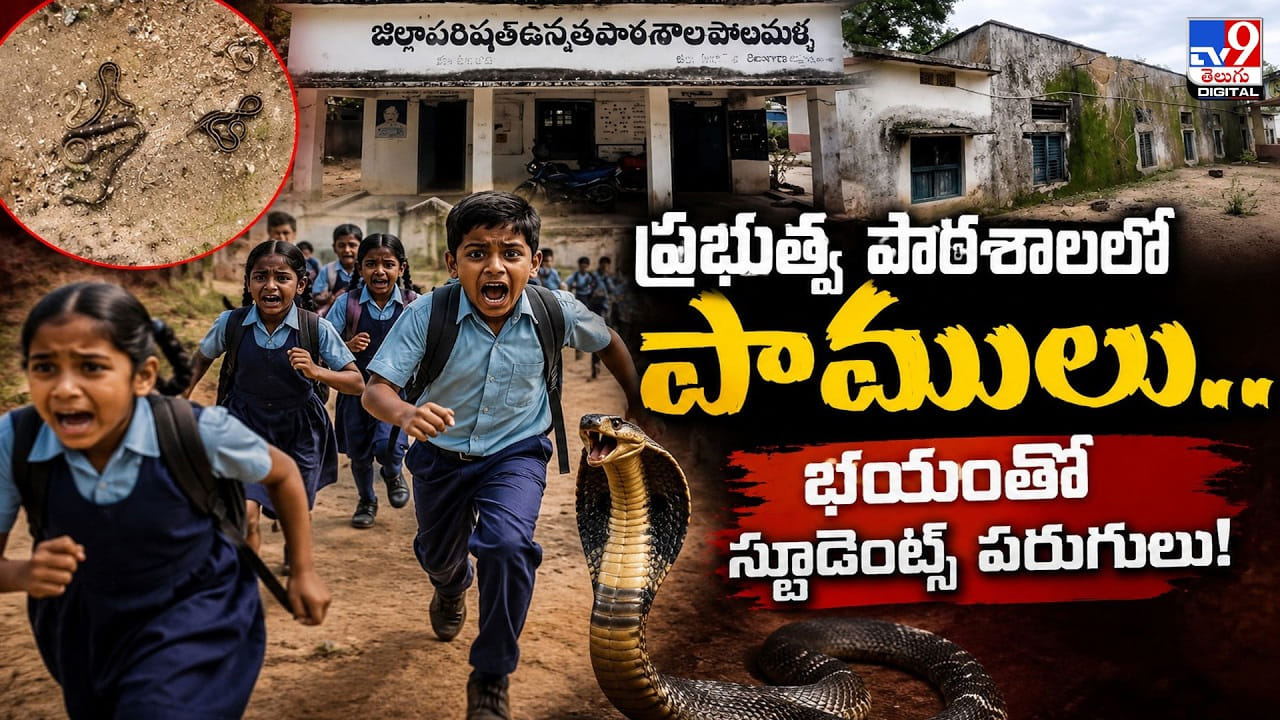 ప్రభుత్వ పాఠశాలలో పాములు.. భయంతో స్టూడెంట్స్ పరుగులు!
