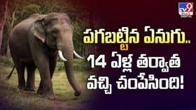 పగబట్టిన ఏనుగు.. 14 ఏళ్ల తర్వాత వచ్చి చంపేసింది!