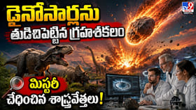 డైనోసార్లను తుడిచిపెట్టిన గ్రహశకలం..