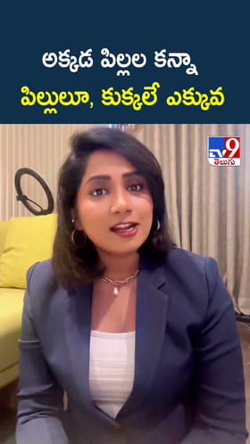 అక్కడ పిల్లల కన్నా పిల్లులూ, కుక్కలే ఎక్కువ