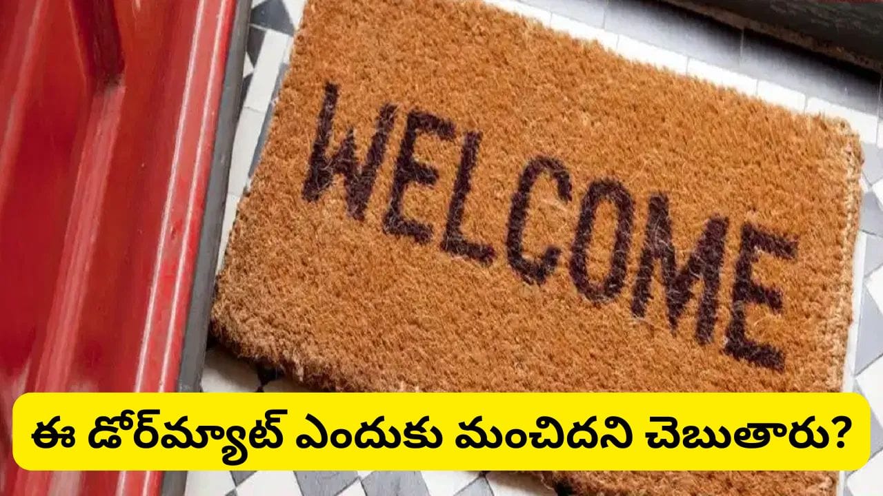 Vastu Tips: ఇంటి ప్రధాన ద్వారం వద్ద ఈ రంగు డోర్మ్యాట్ ఉందా? వాస్తు ప్రకారం లక్ష్మీదేవి కటాక్షం పొందే రహస్యం ఇదే!