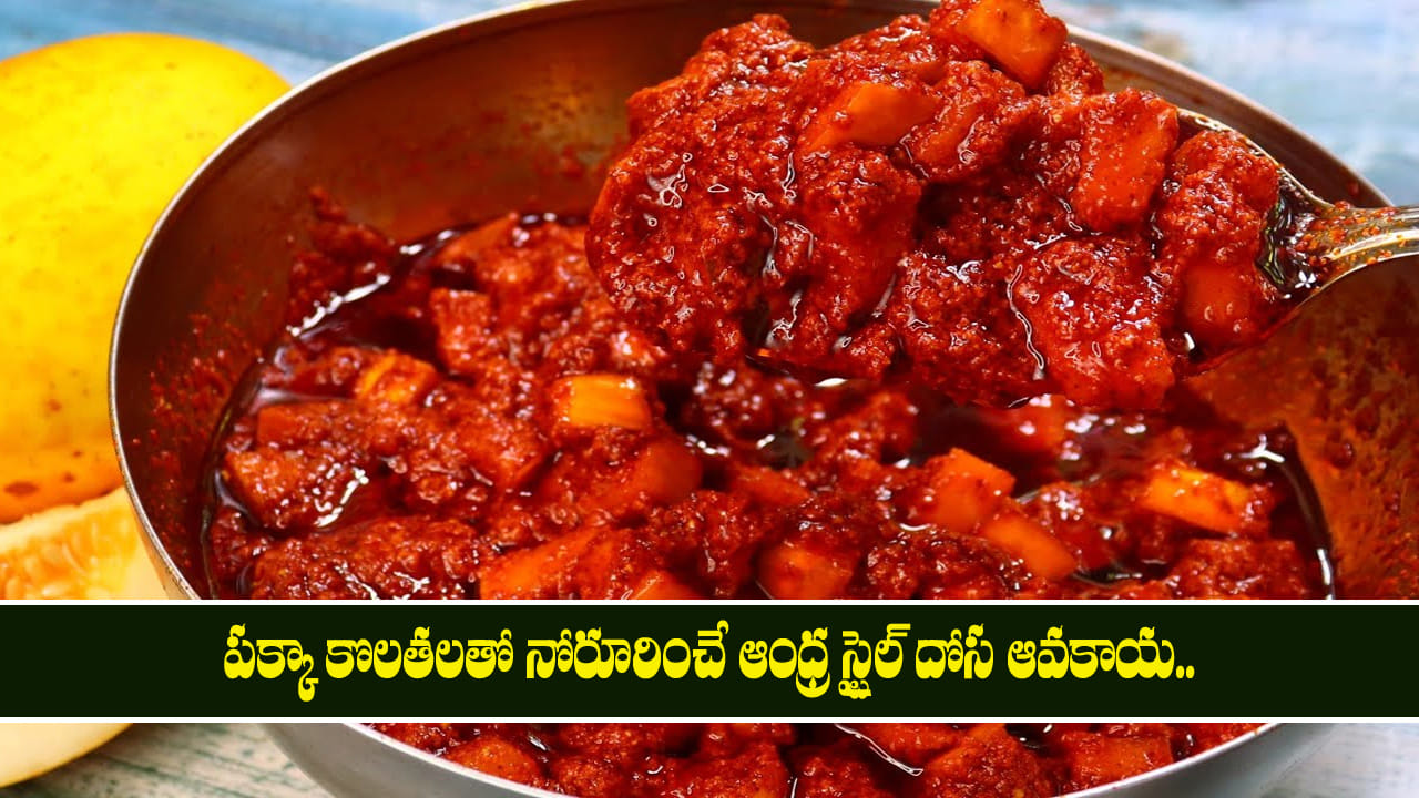 Dosa Avakaya: పక్కా కొలతలతో నోరూరించే ఆంధ్ర స్టైల్ దోస ఆవకాయ.. కంచాలు కంచాలు ఆరగించేస్తారు!