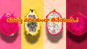 రోగాలన్నింటికీ చెక్ పెట్టే అద్భుత ఫలం.. కనిపిస్తే వదలకండి..లాభాలు