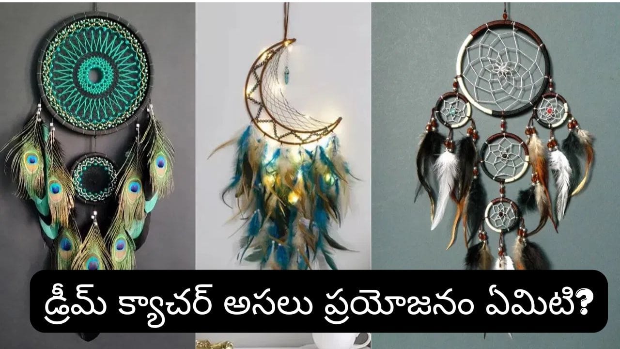 Vastu Tips: డ్రీమ్ క్యాచర్కు కూడా వాస్తు ఉందా? ఏ దిశలో ఉంచితే శుభం, ఏ దిశలో పెట్టకూడదో తెలుసుకోండి