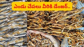 ఎండు చేపలు సూపర్‌ఫుడ్.. కానీ.. అలాంటి వారు మాత్రం అస్సలు తినకూడదు