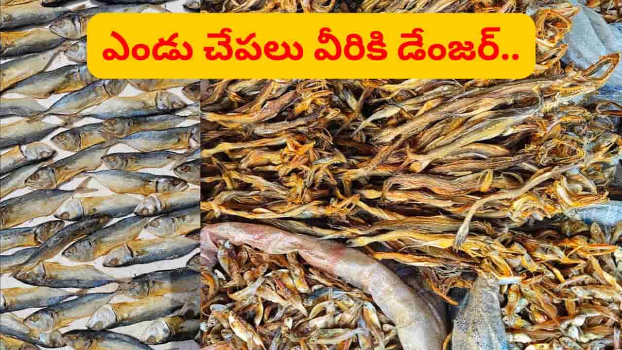 ఎండు చేపలు సూపర్ఫుడ్.. కానీ.. వీరు మాత్రం అస్సలు తినకూడదు.. ఎందుకంటే..