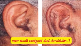 చెవులపై వెంట్రుకలు పెరగడం... అదృష్టాన్ని తీసుకొస్తుందా? అసలు నిజం