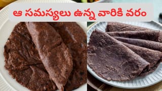 పళ్ళు లేని ముసలివాళ్లు, చిన్న పిల్లలు ఇష్టంగా తినే అద్భుతమైన రోటీలు.. లాభాలు తెలిస్తే ఇప్పుడే తింటారు..