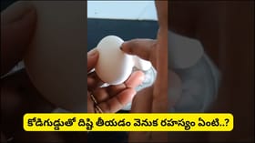 కోడిగుడ్డుతో దిష్టి తీస్తే నిజంగానే దిష్టి పోతుందా..? దీని వెనుక