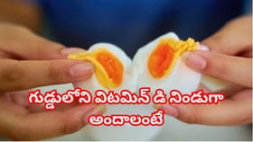 కోడిగుడ్డు ఇలా తింటేనే విటమిన్ డి పూర్తిగా దక్కేది! డైటీషియన్లు