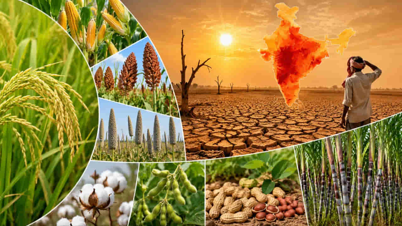 ఎల్-నినోకు తెలంగాణ రెడీ.. రైతుల కోసం మూడు దశల కార్యాచరణ