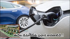 పెట్రోల్ ధరల షాక్‌తో ఈవీలకు భారీ డిమాండ్.. భారత్‌లో రికార్డు..
