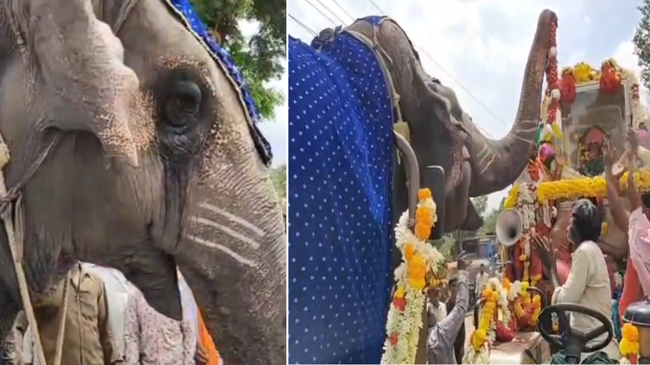 Video: పీఠాధిపతికి కన్నీటి వీడ్కోలు పలికిన ఏనుగు.. అనంతపురంలో ఆసక్తికర ఘటన