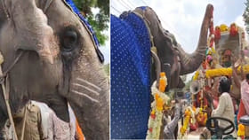 పీఠాధిపతికి కన్నీటి వీడ్కోలు పలికిన ఏనుగు