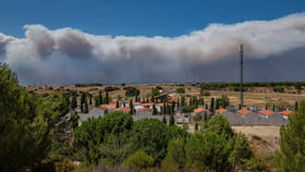 యూరప్‌ను వణికిస్తున్న కార్చిచ్చులు..!