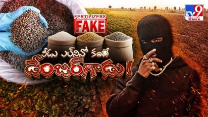 వీళ్లు ఎల్‌నినో కంటే యమ డేంజర్‌.. పంటచేలో పచ్చి నకిలీగాళ్లు