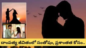 కుటుంబంలో కలహాలు తగ్గి.. దంపతుల మధ్య ప్రేమ పెరగాలంటే ఇంట్లో..