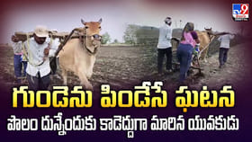 గుండెను పిండేసే ఘటన పొలం దున్నేందుకు కాడెద్దుగా మారిన యువకుడు