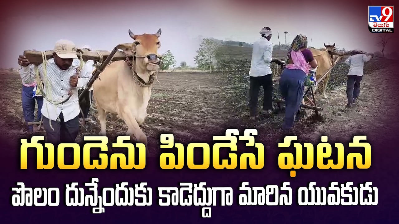 Maharashtra: గుండెను పిండేసే ఘటన పొలం దున్నేందుకు కాడెద్దుగా మారిన యువకుడు Maharashtra: గుండెను పిండేసే ఘటన పొలం దున్నేందుకు కాడెద్దుగా మారిన యువకుడు