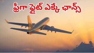 Flight Journey: ప్రభుత్వం నుంచి బంపర్ ఆఫర్.. వారందరికీ విమానంలో ఉచిత ప్రయాణం!