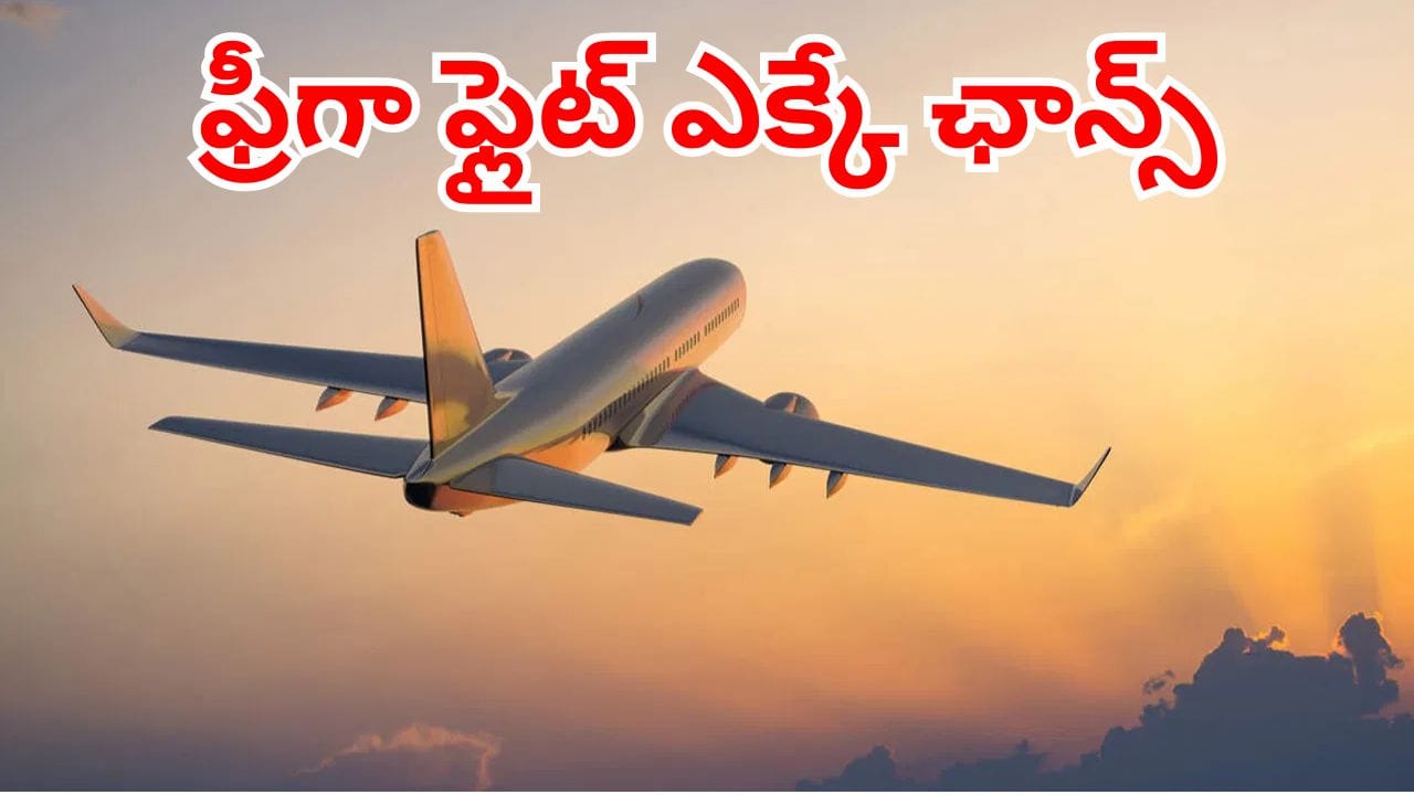 Flight Journey: ప్రభుత్వం నుంచి బంపర్ ఆఫర్.. వారందరికీ విమానంలో ఉచిత ప్రయాణం!