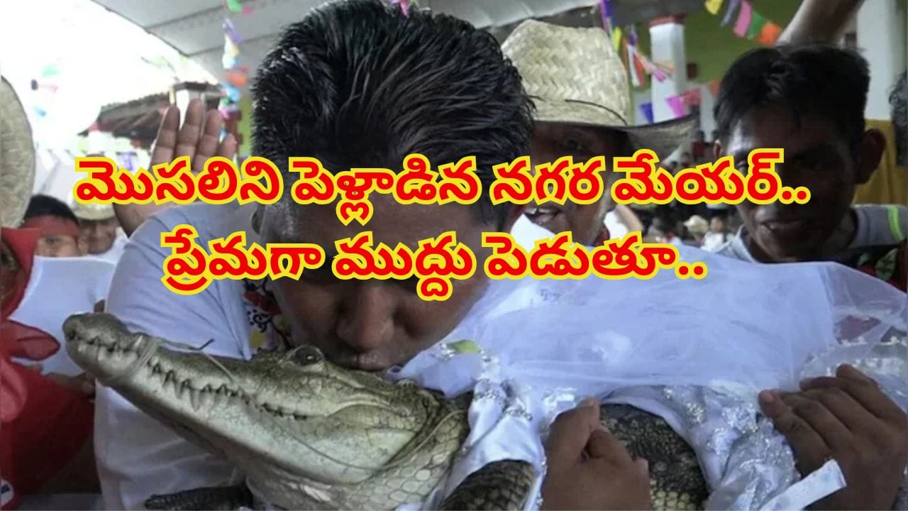 female-crocodile-wedding.jpg