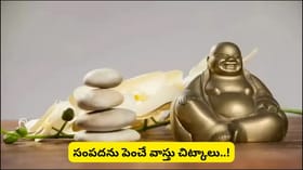 ఇంట్లో ఈ 3 వస్తువులు ఉంటే ఆర్థిక సమస్యలు తగ్గి.. సంపద, అదృష్టం..