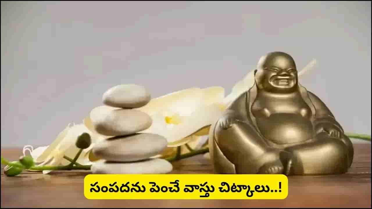 Feng Shui Tips: ఇంట్లో ఈ 3 వస్తువులు ఉంటే ఆర్థిక సమస్యలు తగ్గి.. సంపద, అదృష్టం పెరుగుతుందట!