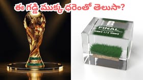 బాబోయ్ ఇదెక్కడి వ్యాపారం.. ఈ గడ్డి ధర ఎంతో తెలిస్తే అవాక్కే..?
