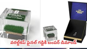 వరల్డ్‌కప్ ఫైనల్ గడ్డికీ బంపర్ డిమాండ్