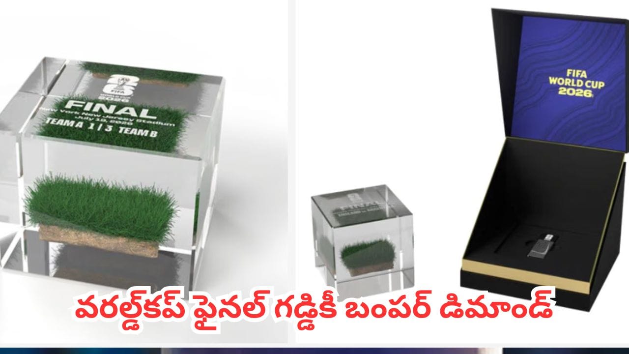 FIFA World Cup 2026 : వరల్డ్కప్ ఫైనల్ గడ్డికీ బంపర్ డిమాండ్.. ఒక్క ముక్క ధర 2.6 లక్షల వరకు..!