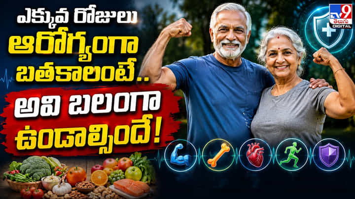 ఎక్కువ రోజులు ఆరోగ్యంగా బతకాలంటే.. అవి బలంగా ఉండాల్సిందే! ఎక్కువ రోజులు ఆరోగ్యంగా బతకాలంటే.. అవి బలంగా ఉండాల్సిందే!