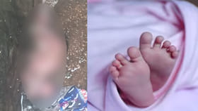 దుర్వాసన వస్తుందని కాల్వలోకి తొంగిచూస్తే.. గుండె పగిలిపోయే సీన్!