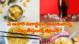 ఇది మీకు తెలుసా? అలవాట్లే కొంపముంచుతున్నాయి.. ఏ ఆహార పదార్థం ఏ అవయవాన్ని దెబ్బతీస్తుందో తెలిస్తే..