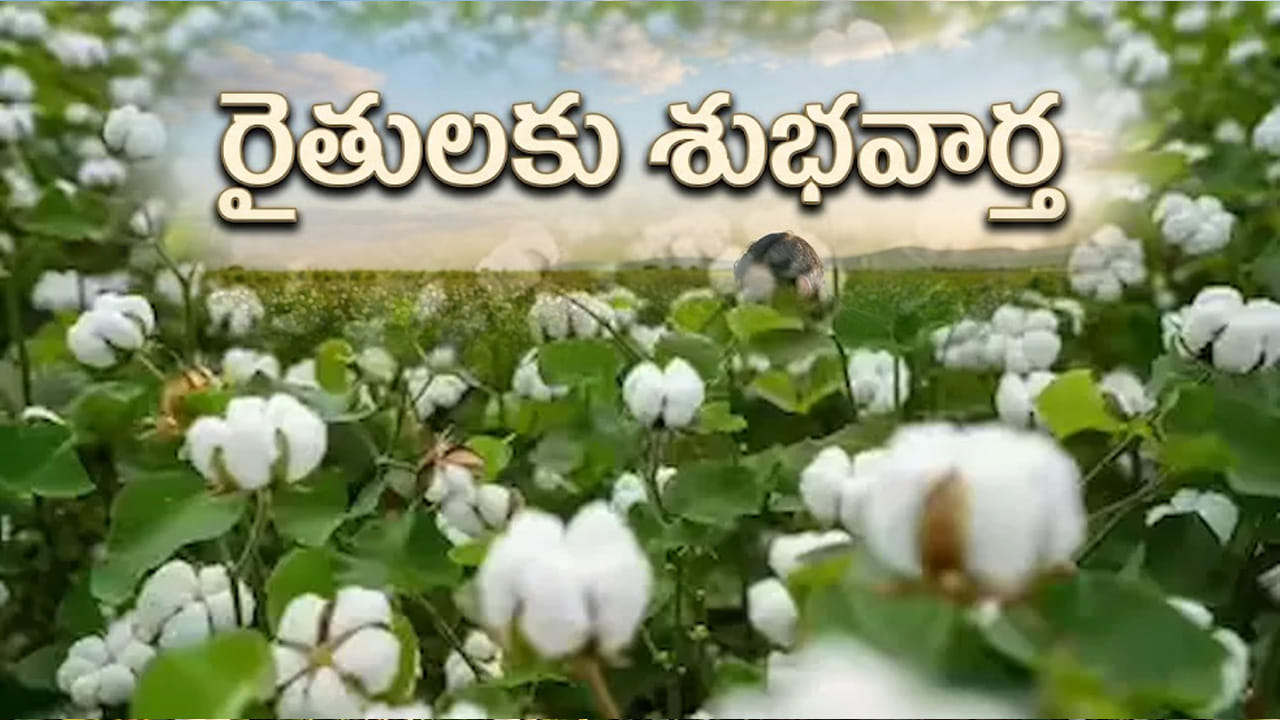 రైతులకు సర్కార్ బంపర్ ఆఫర్.. ఉచితంగా విత్తనాలు.. ‘రైతు వేదిక’ ద్వారా పంపిణీ!