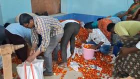 ఫ్రీ.. ఫ్రీ.. రండి బాబు రండి..! గిట్టుబాటులేక టమాటాల ఉచిత పంపిణీ