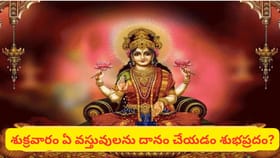శుక్రవారం స్పెషల్.. ఈ వస్తువులను దానం చేస్తే లక్ష్మీదేవి కటాక్షం