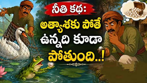 Moral Story: అత్యాశతో ఉన్నదీ పోగొట్టుకున్న వేటగాడు..! కప్ప – ముత్యం నీతి కథ