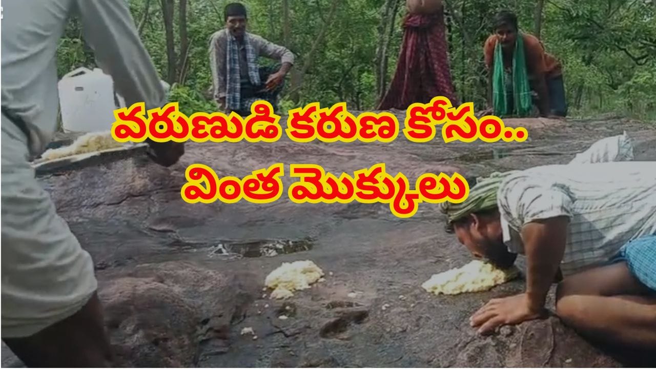 వానదేవుడా కరుణించు..వర్షాల కోసం వింత మొక్కులు.. కప్పల్లా బండ పాయాసం నాకిన గ్రామస్తులు!