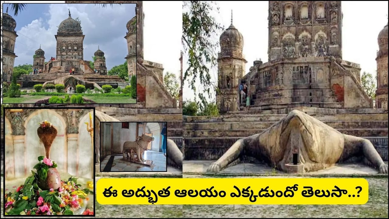 భారతదేశంలోనే ఏకైక కప్ప ఆలయం.. ఇక్కడి శివలింగం రంగులు మారుతుంది.. నిలబడి ఉన్న నంది ప్రత్యేకత!