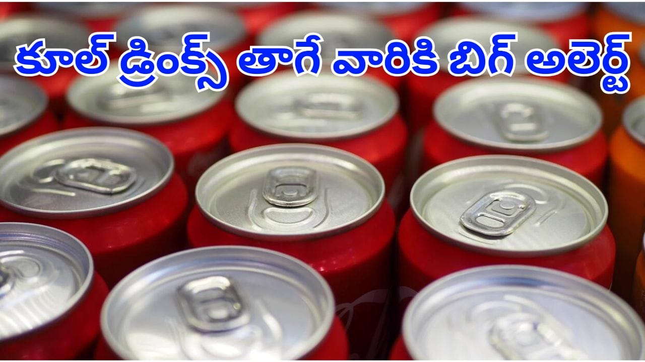 కూల్డ్రింక్ తయారీ సంస్థలకు FSSAI బిగ్ షాక్.. లేబుళ్లపై వెంటనే వాటిని తొలగించాలని ఆదేశం!