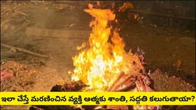 అంత్యక్రియల్లో ఈ కలపలనే ఎందుకు ఉపయోగిస్తారు? గరుడ పురాణం ప్రకారం