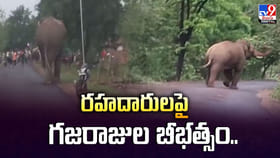 రహదారుల పై గజరాజుల బీభత్సం వీడియో