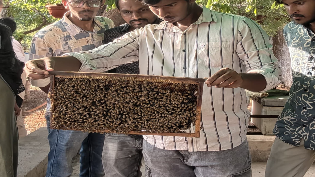 పంటల్లో పరపరాగ సంపర్కాన్ని పెంచి దిగుబడిని పెంచడంతో పాటు, నాణ్యమైన తేనెను సేకరించేందుకు ఈ యూనిట్ ఎంతో దోహదపడనుంది.ఇందులో భాగంగా యూరోపియన్ జాతికి చెందిన 'ఏపీస్ మెళ్లీఫిరా', భారతీయ జాతికి చెందిన 'ఎపీస్ సెరాన' రకాల తేనెటీగల బాక్సులను శాస్త్రీయ పద్ధతిలో ఇక్కడ అమర్చారు.