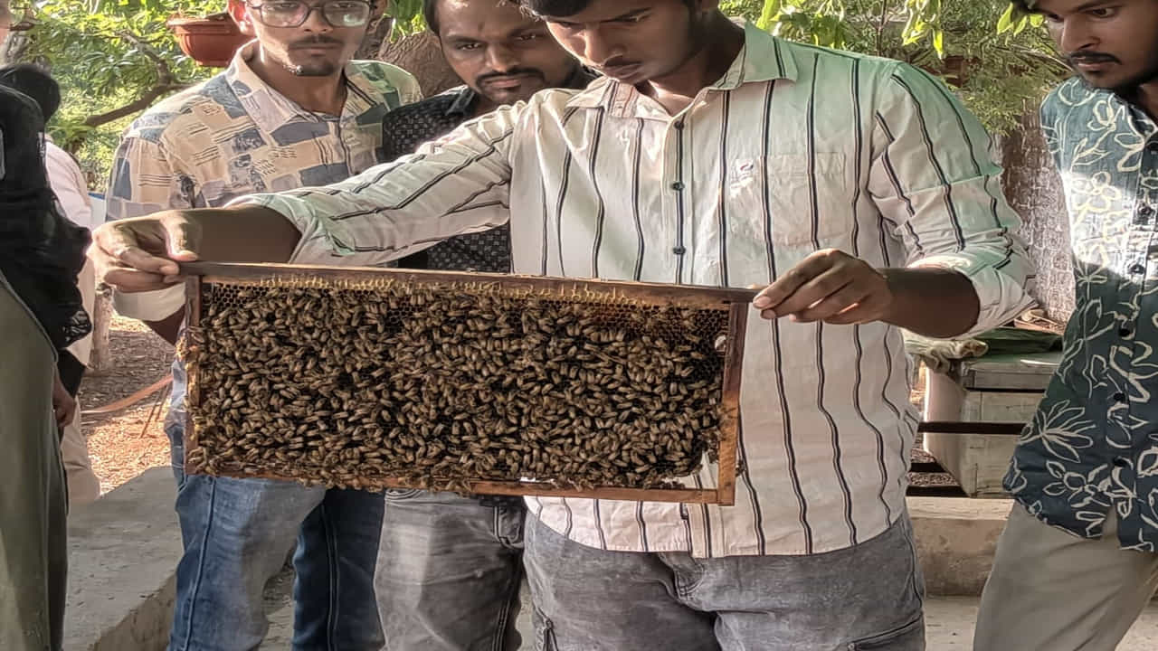 పంటల్లో పరపరాగ సంపర్కాన్ని పెంచి దిగుబడిని పెంచడంతో పాటు, నాణ్యమైన తేనెను సేకరించేందుకు ఈ యూనిట్ ఎంతో దోహదపడనుంది.ఇందులో భాగంగా యూరోపియన్ జాతికి చెందిన 'ఏపీస్ మెళ్లీఫిరా', భారతీయ జాతికి చెందిన 'ఎపీస్ సెరాన' రకాల తేనెటీగల బాక్సులను శాస్త్రీయ పద్ధతిలో ఇక్కడ అమర్చారు.