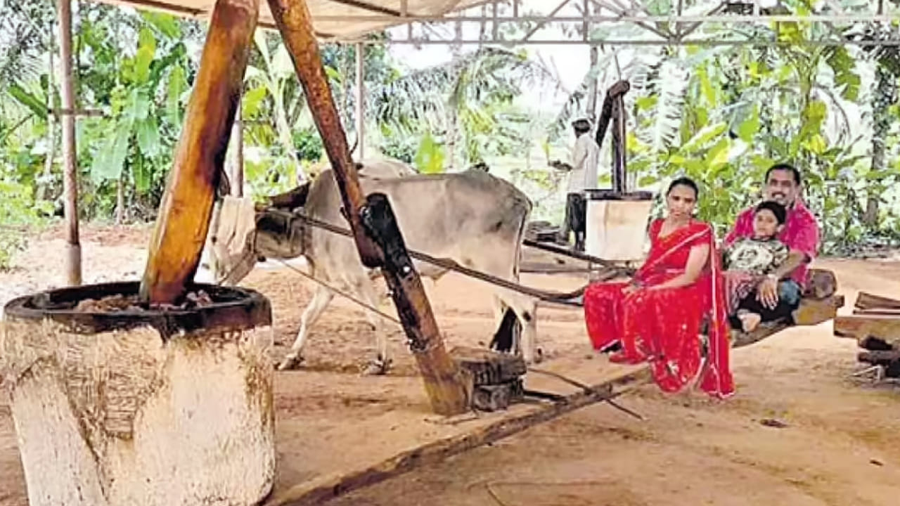 దీనితో ఎక్కువగా పల్లీలు, నువ్వులు, కొబ్బరి, పొద్దుతిరుగుడు వంటి నూనెలను తయారు చేస్తున్నారు. ఎందుకంటే, ఈ గానుగ నూనెలను ఆర్గానిక్ గా తయారు చేస్తారు. ఇంకా ఇవి రుచితో పాటు మంచి సువాసన కూడా ఉంటుంది.  ఇది చెక్కు చెదరకుండా ఉంటుంది. 
ఎందుకంటే, ఈ నూనె గింజల్లో ఉండే యాంటీ ఆక్సిడెంట్లు ఉంటాయి. 
